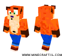 Crash Bandicoot skin