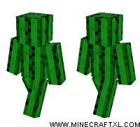 Cactus skin