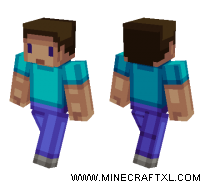 Blocky Steve skin