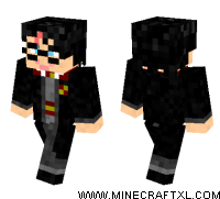 Harry Potter skin