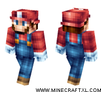 Mario skin