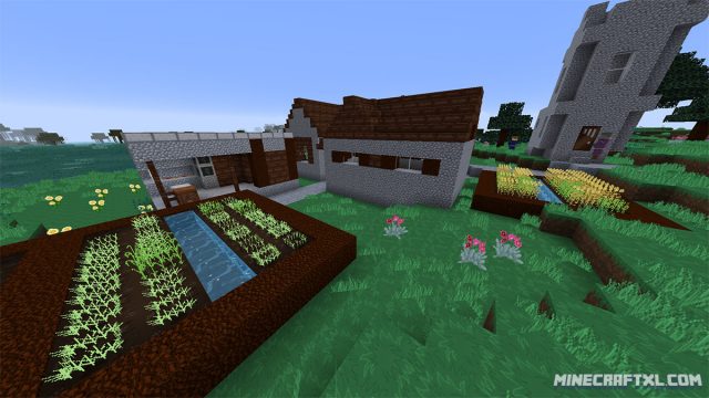 ACME Resource Pack