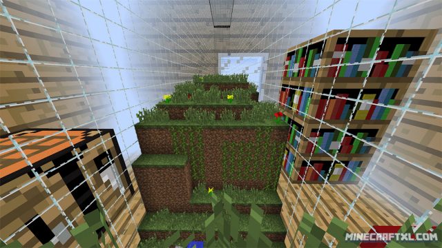 Ant Farm Survival Map