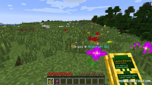 Botania Mod