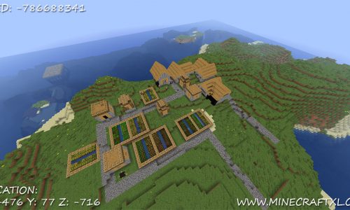 Island Village Seed