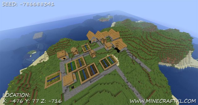 Island Village Seed