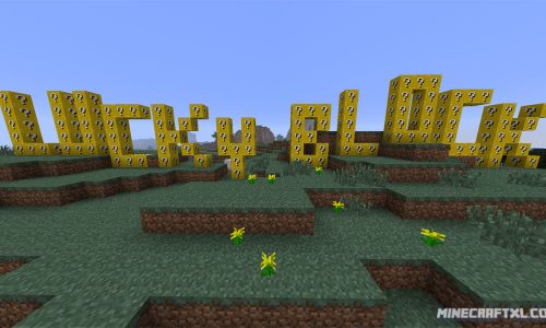 Lucky Block Mod