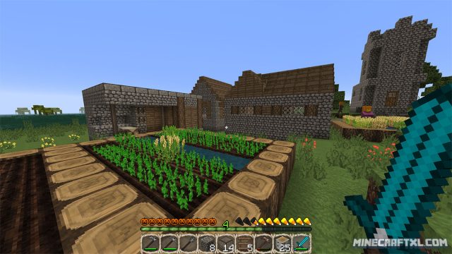 Pumpkin Patch Resource Pack