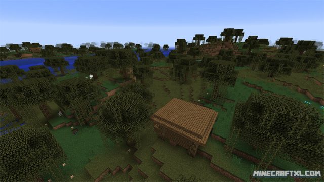 Quad Witch Hut Seed