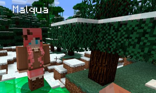 Gender Mod for Minecraft