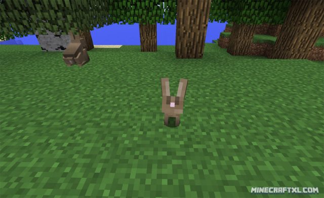 Minecraft 1.8 Rabbits